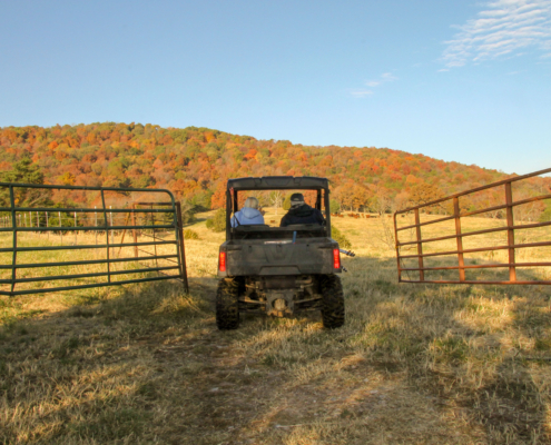 Two people riding on a UTV. They are going through a gate. A hill covered in orange, red, and yellow trees is on the horizon.